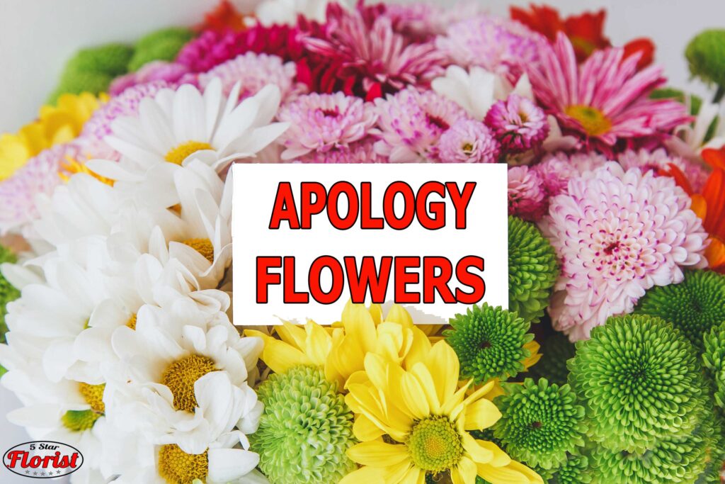 apology flowers Scarborough