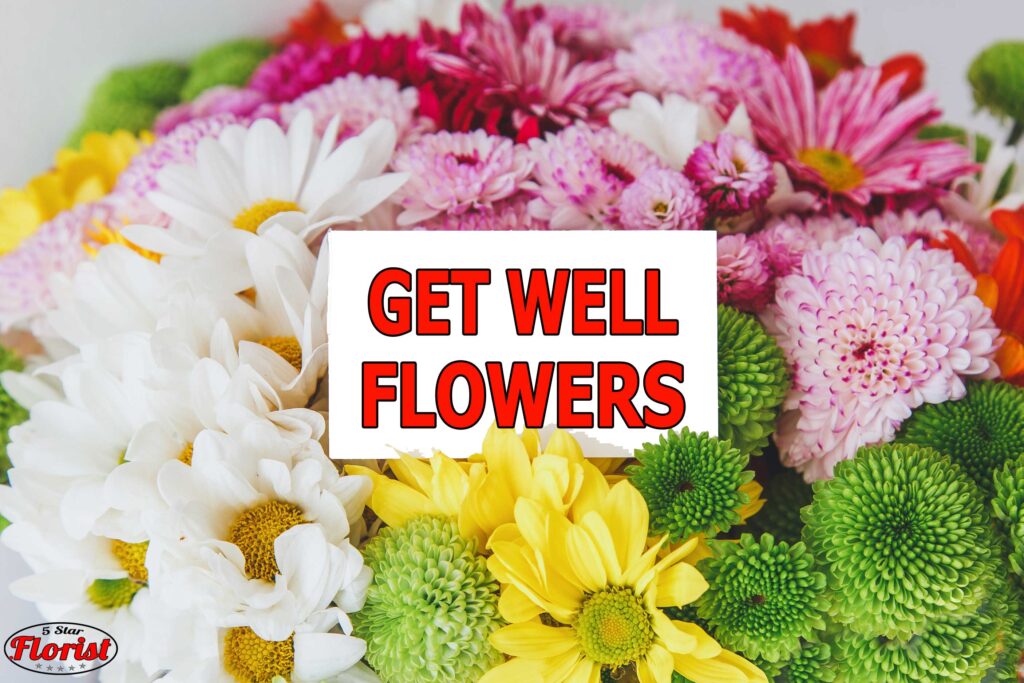 get-well-flowers Scarborough