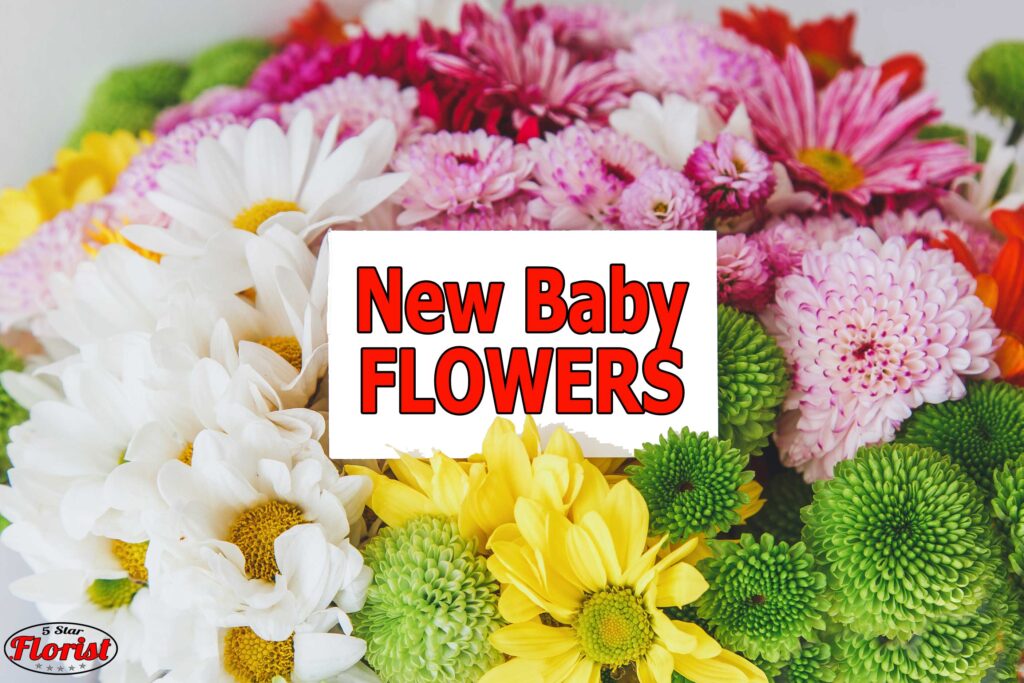 new baby flowers Scarborough